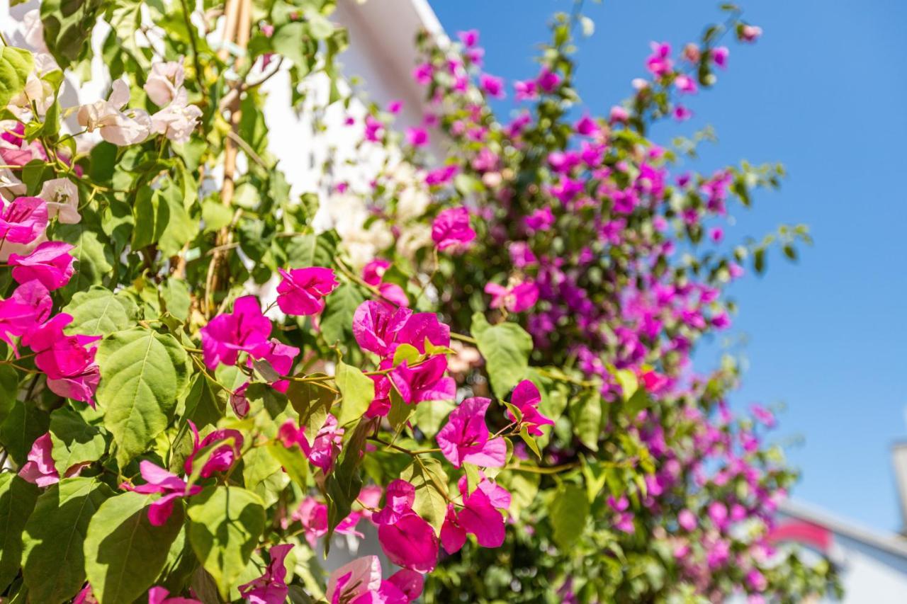 Bdino Boutique Hotel Истанбул Екстериор снимка